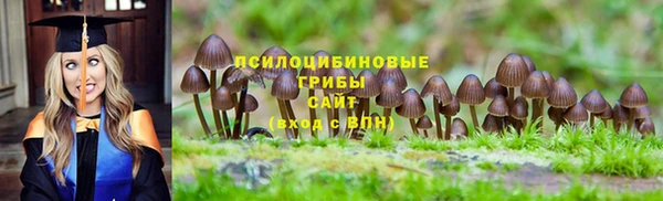 бутират Осинники