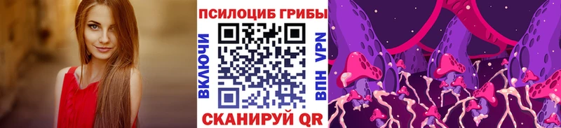 цены   Пущино  Псилоцибиновые грибы прущие грибы 